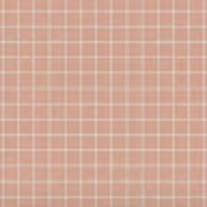 Meet your Posher, Callie